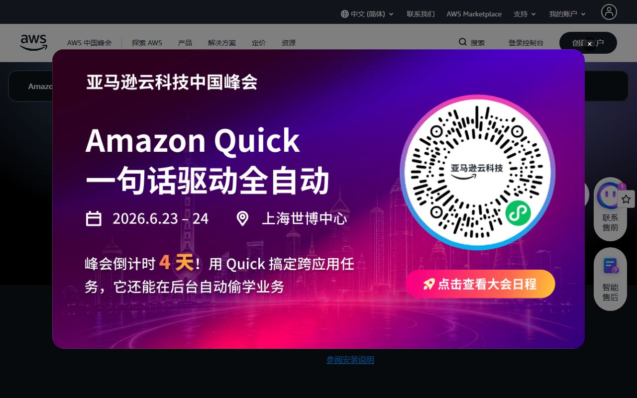 Amazon Q Developer 界面截图