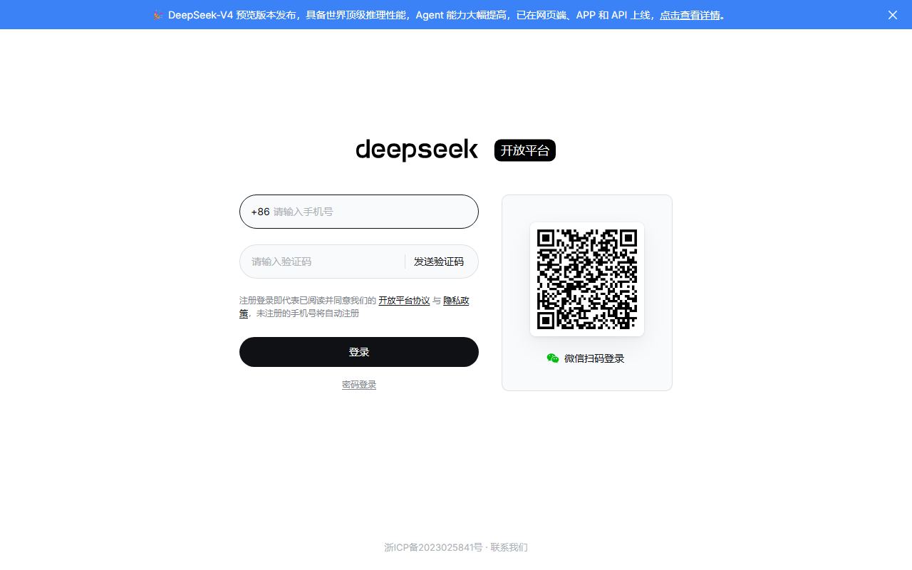 DeepSeek API 界面截图