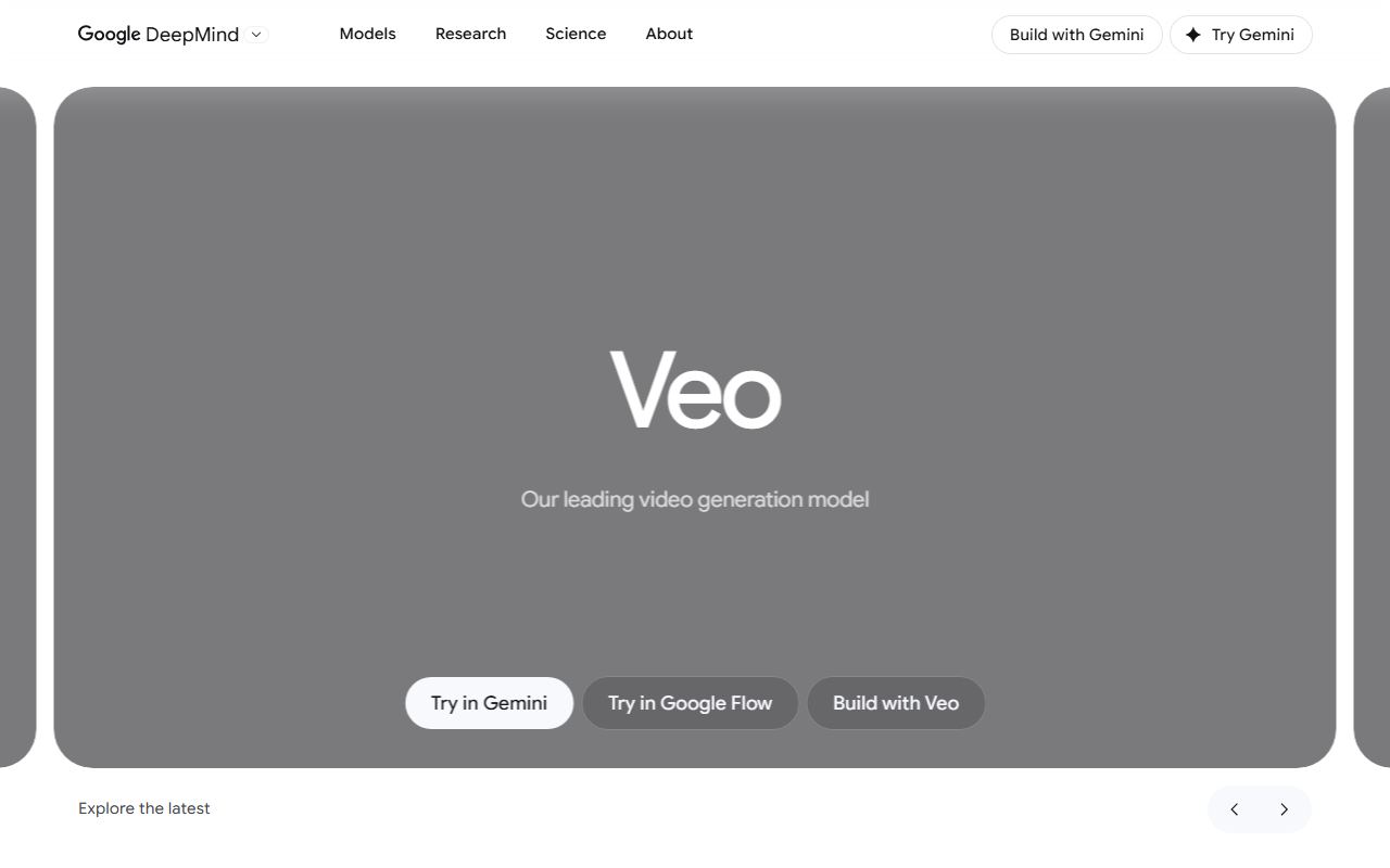 Google Veo 界面截图